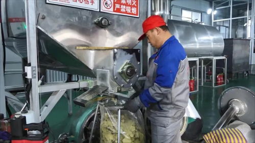 大豆加工紧锣密鼓 力争首季 开门红