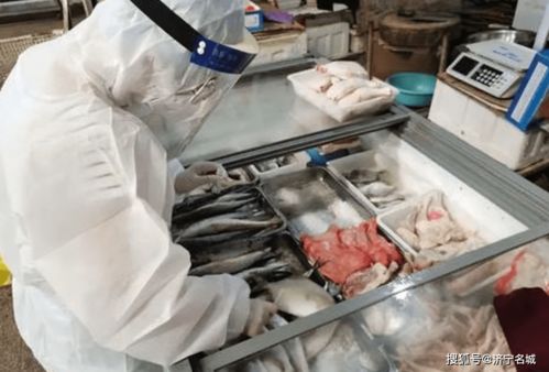 曝光 任城区公布违反疫情防控进口冷链食品与挖掘装载机事件